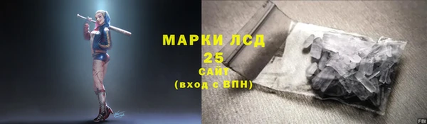 твердый Зеленодольск